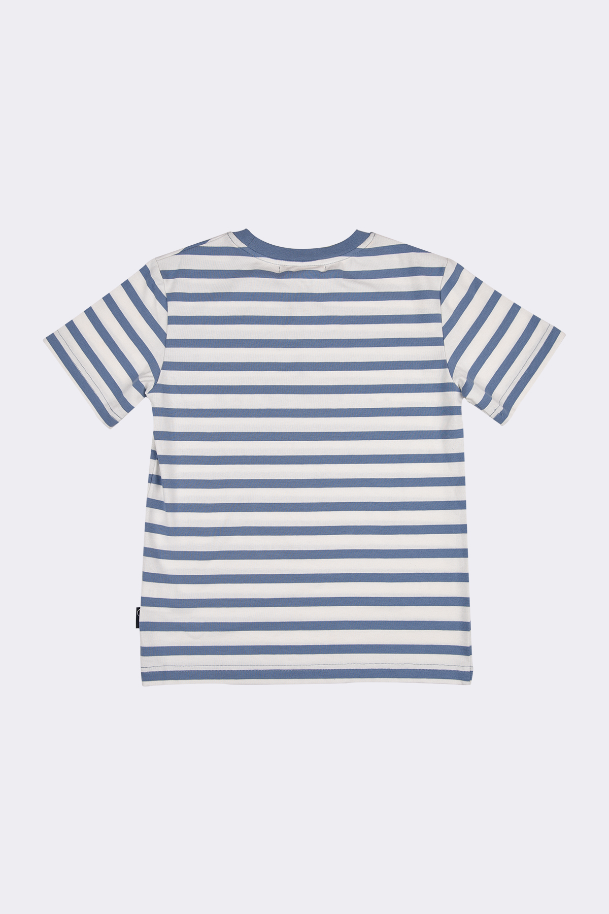 Adam Stripe Fly T-shirt SS - Image 3