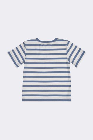 Joe Stripe Fly T-shirt SS